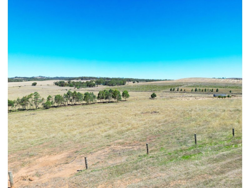 235 Basham Road, Stanley Flat SA 5453