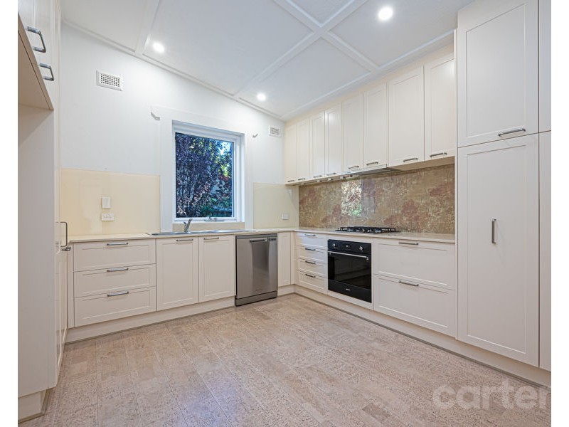 55 Brandreth Street, Tusmore SA 5065