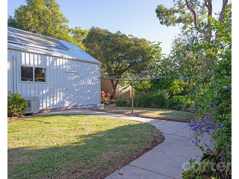 55 Brandreth Street, Tusmore SA 5065