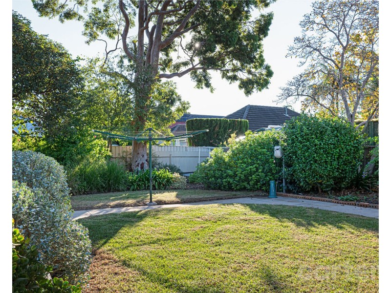 55 Brandreth Street, Tusmore SA 5065