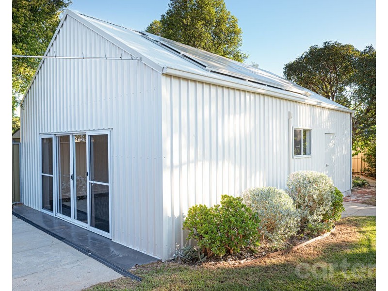 55 Brandreth Street, Tusmore SA 5065