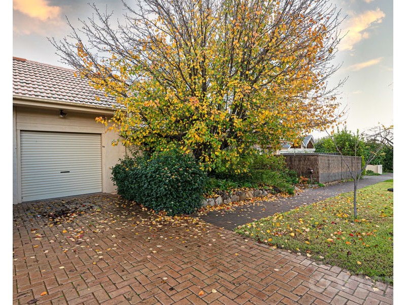 38 Austral Avenue, Linden Park SA 5065