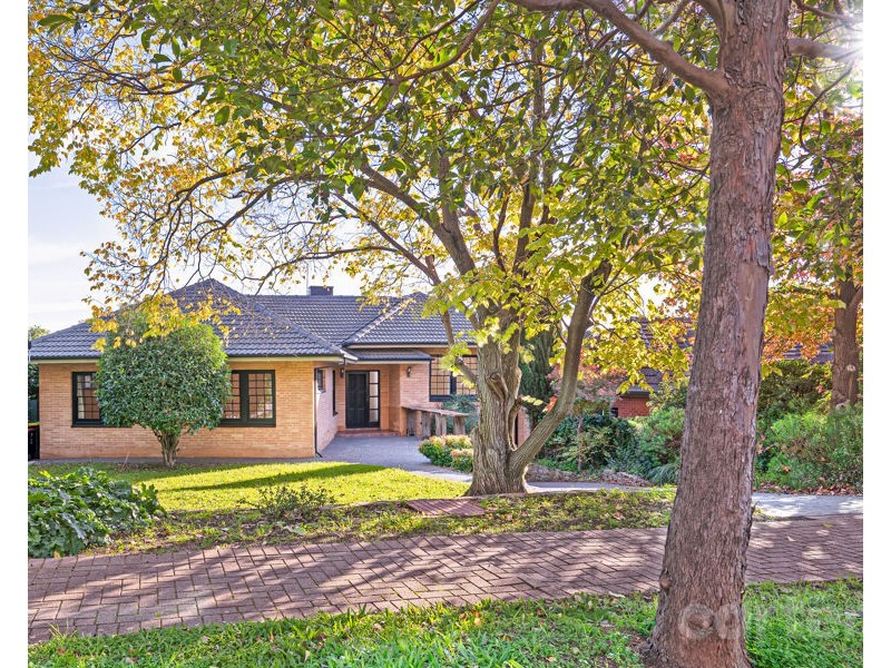 11 Sunnyside Rd, St Georges SA 5064