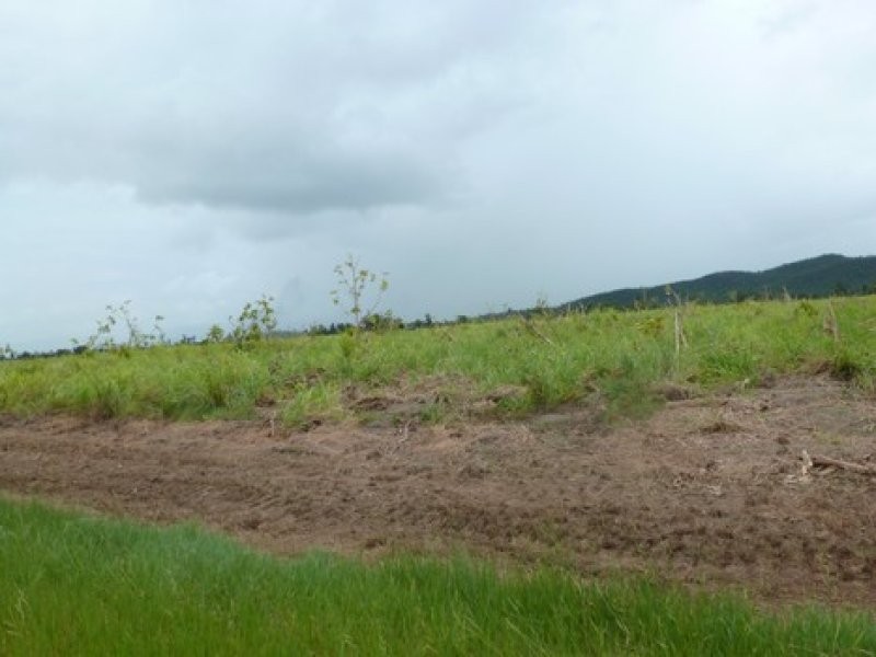 Syndicate & Scanlan Roads, Jarra Creek QLD 4854