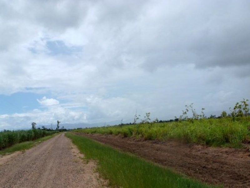 Syndicate & Scanlan Roads, Jarra Creek QLD 4854
