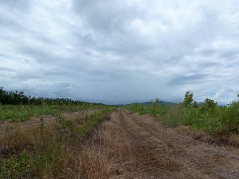 Syndicate & Scanlan Roads, Jarra Creek QLD 4854