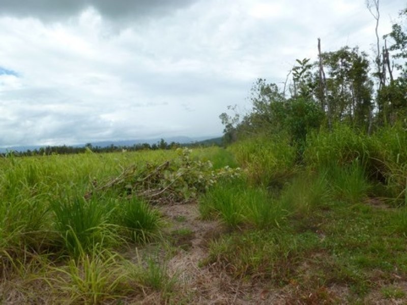 Syndicate & Scanlan Roads, Jarra Creek QLD 4854