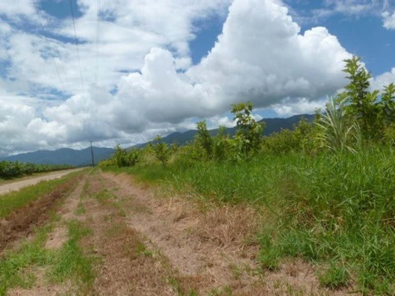 Syndicate & Scanlan Roads, Jarra Creek QLD 4854