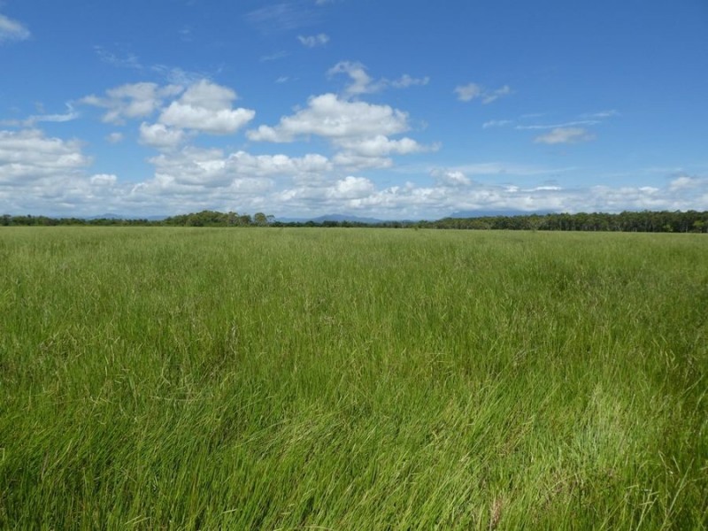 64000 Bruce Highway, Innisfail QLD 4860