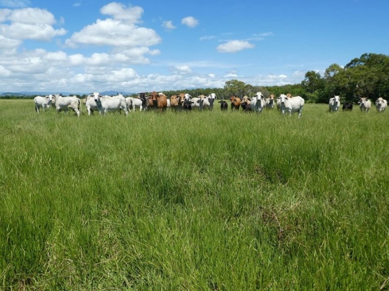 64000 Bruce Highway, Innisfail QLD 4860