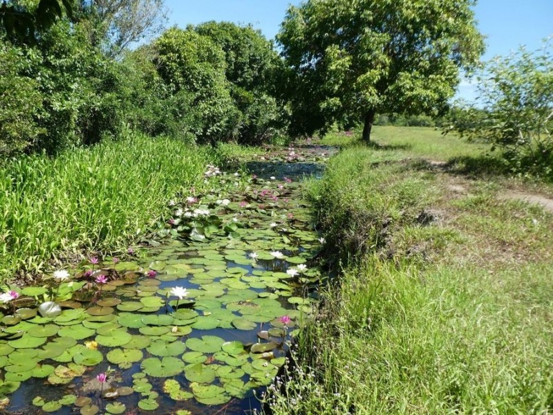 64000 Bruce Highway, Innisfail QLD 4860