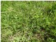 64000 Bruce Highway, Innisfail QLD 4860