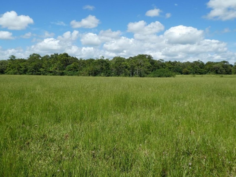 64000 Bruce Highway, Innisfail QLD 4860