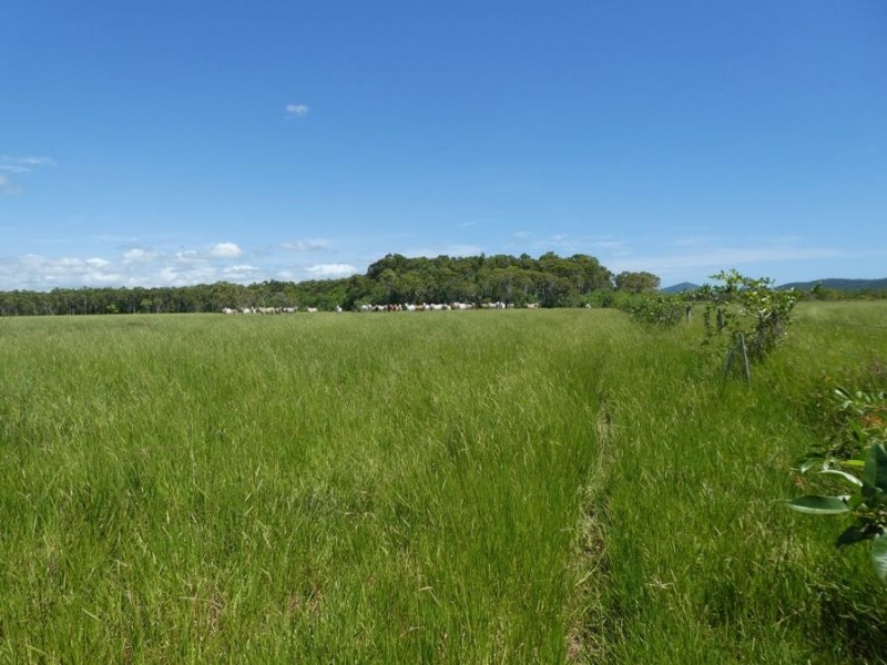 64000 Bruce Highway, Innisfail QLD 4860