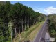 1364 Pine Creek Yarrabah Road, East Trinity QLD 4871