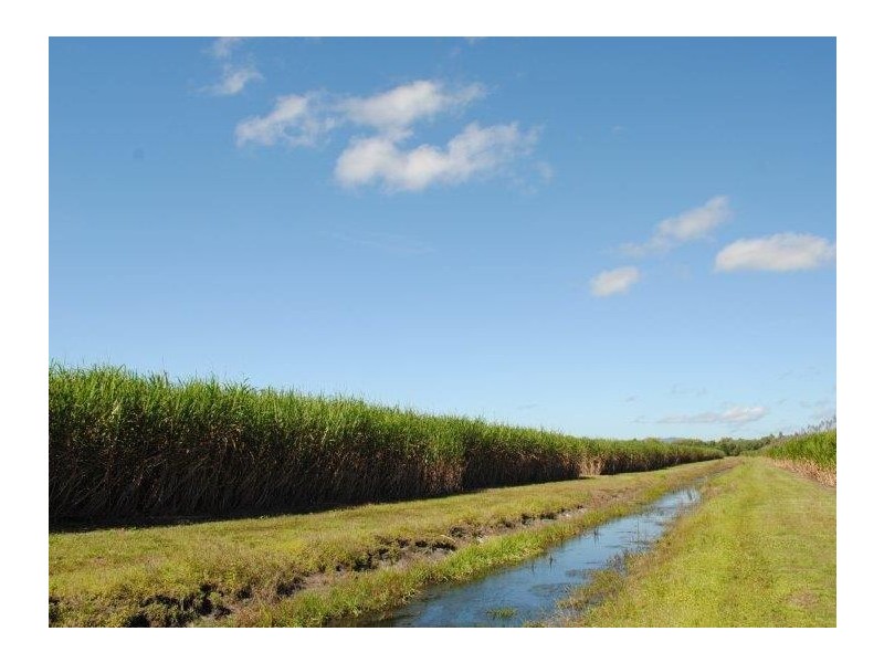 Cnr Stephenson Road & Rinaudo Road, Lower Cowley QLD 4871