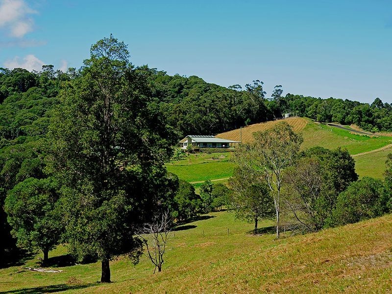 246 Russell Pocket Road, Barrine QLD 4872