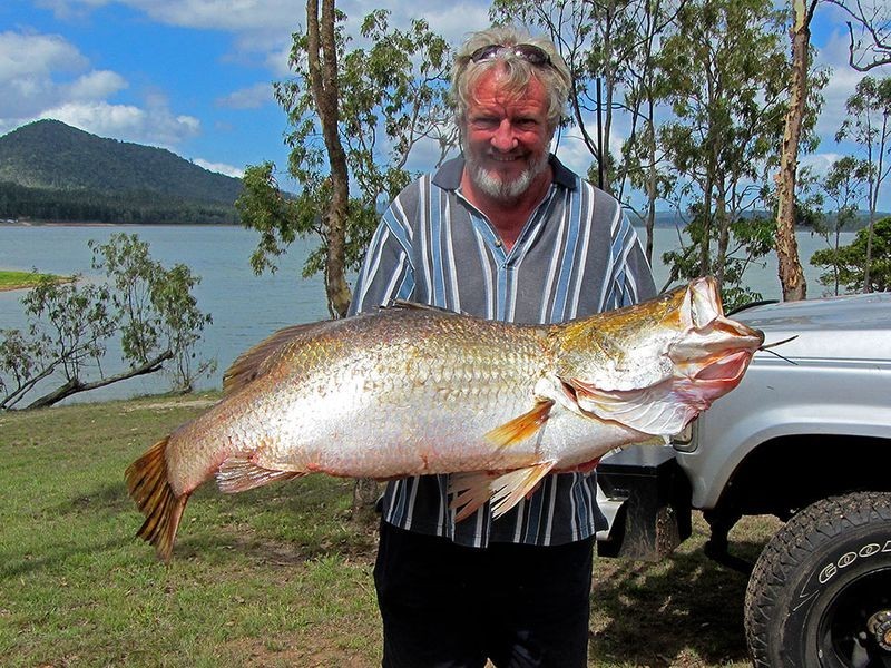 246 Russell Pocket Road, Barrine QLD 4872