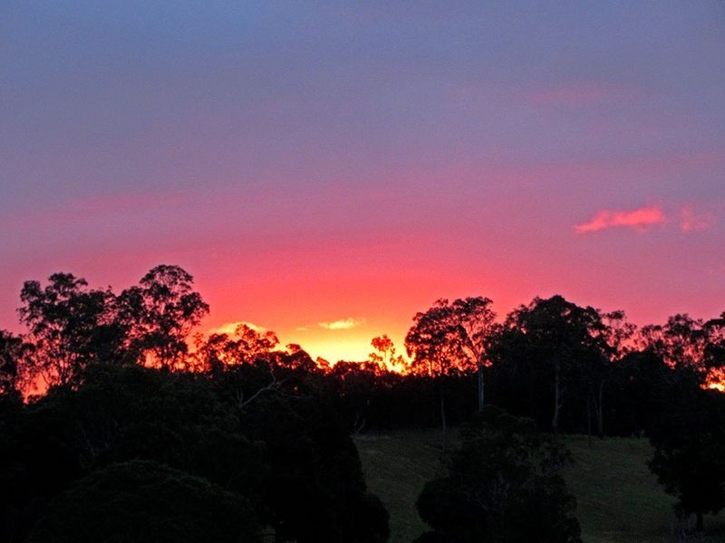 246 Russell Pocket Road, Barrine QLD 4872