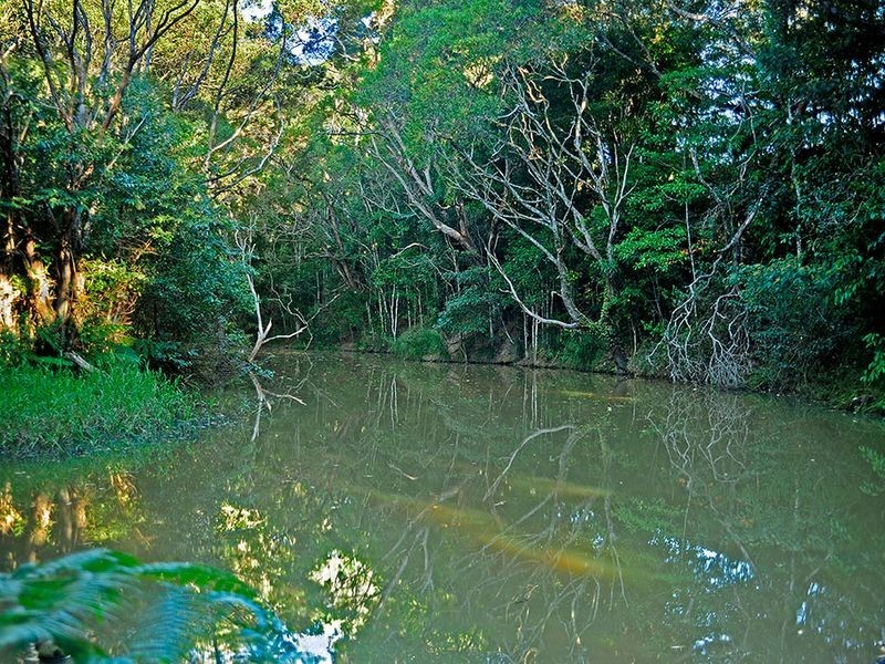 246 Russell Pocket Road, Barrine QLD 4872