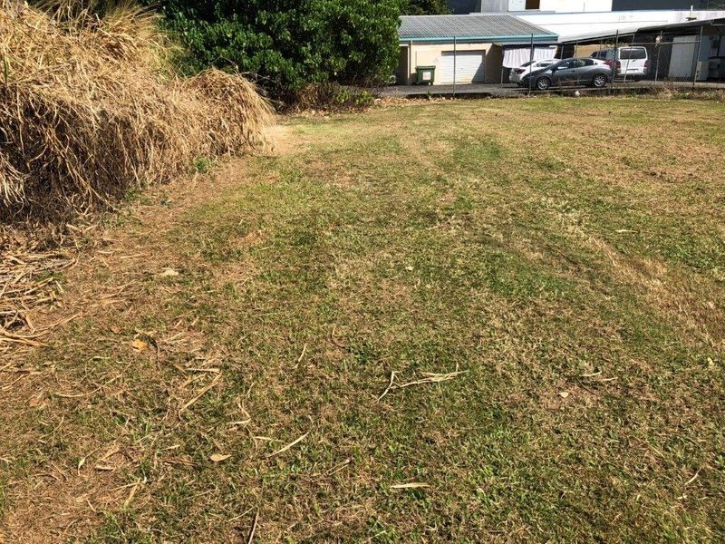 99 Ishmael Road, Earlville QLD 4870