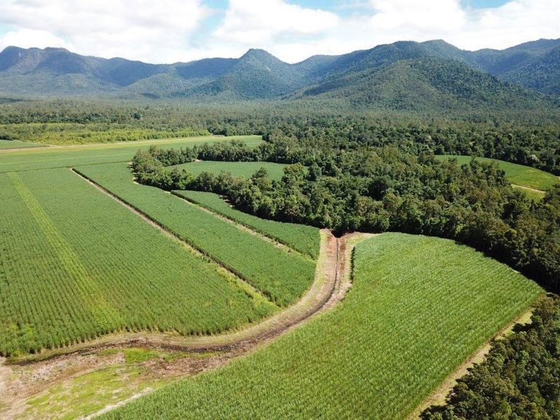Copleys Road, Abergowrie QLD 4850