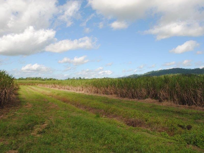 Warrubullen Road, Warrubullen QLD 4871