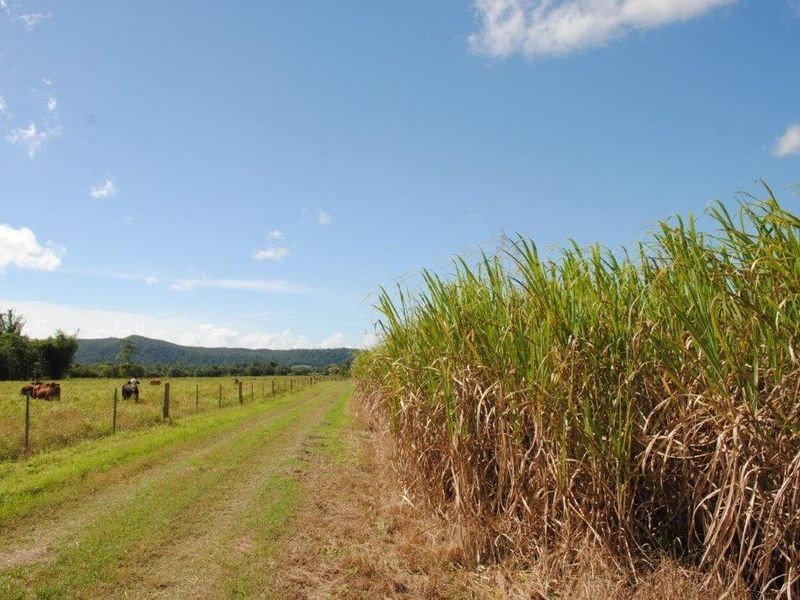 Warrubullen Road, Warrubullen QLD 4871