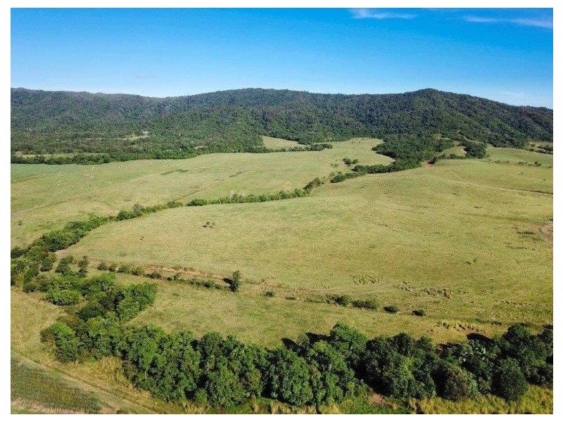 Cane Farms, Innisfail QLD 4860
