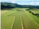 Cane Farms, Innisfail QLD 4860