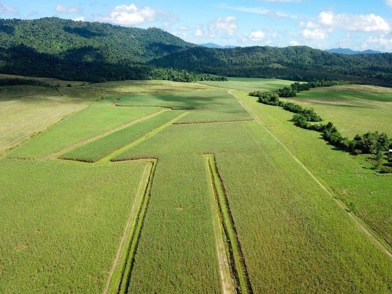 Cane Farms, Innisfail QLD 4860
