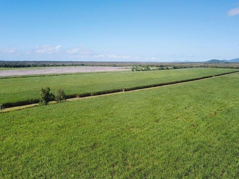 Cane Farms, Innisfail QLD 4860