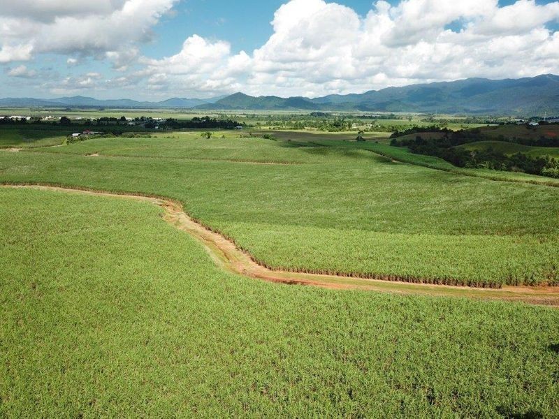 Cane Farms, Innisfail QLD 4860
