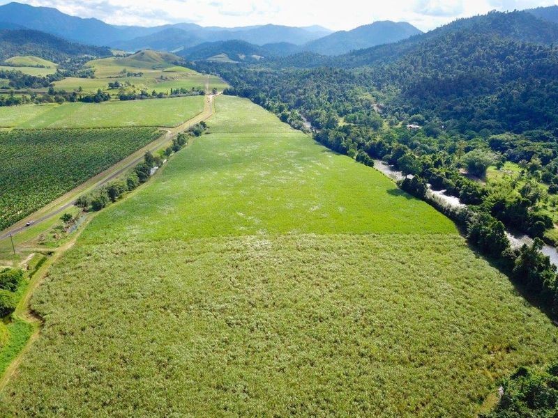 Cane Farms, Innisfail QLD 4860