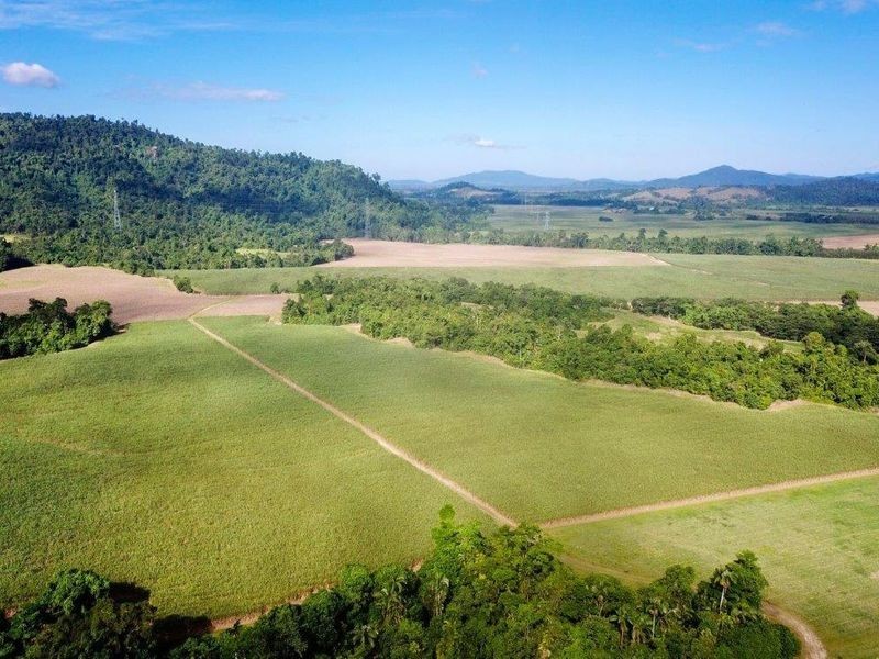 Cane Farms, Innisfail QLD 4860