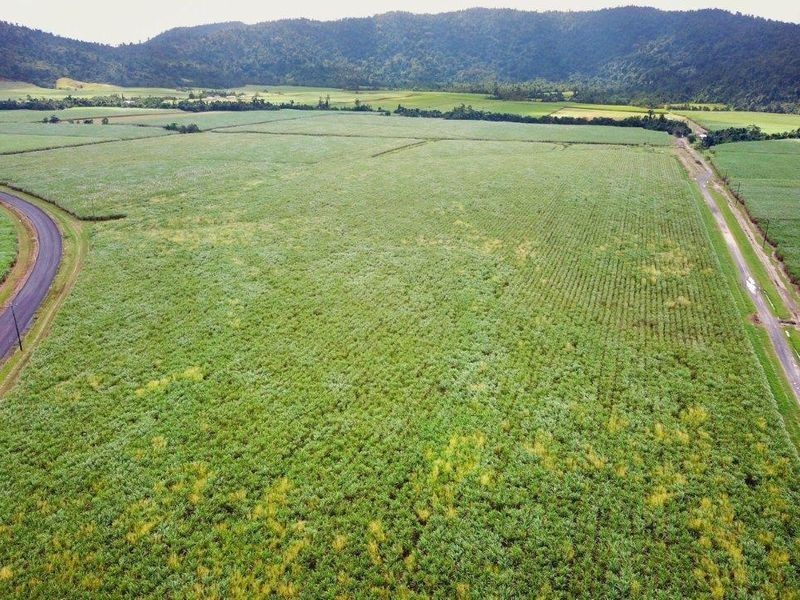 Cane Farms, Innisfail QLD 4860
