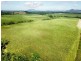 Cane Farms, Innisfail QLD 4860