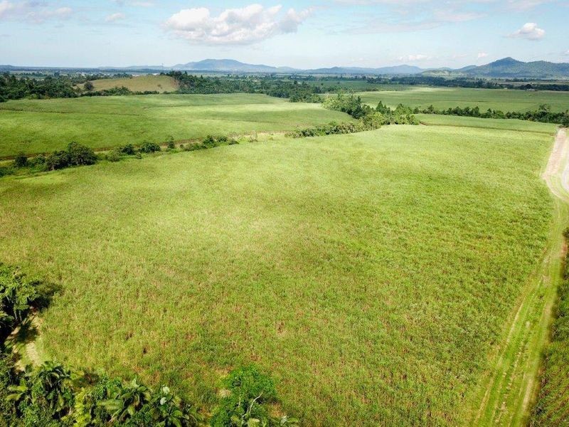 Cane Farms, Innisfail QLD 4860
