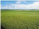 Cane Farms, Innisfail QLD 4860