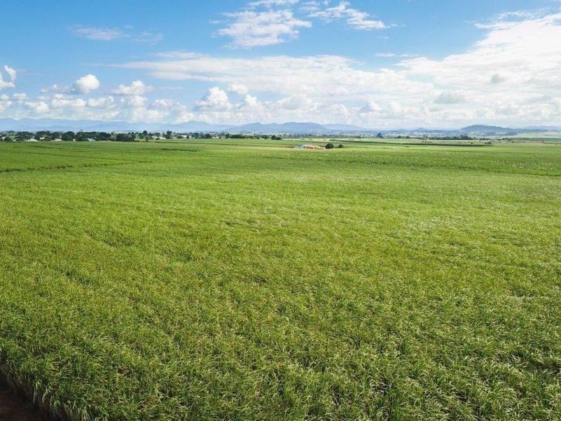 Cane Farms, Innisfail QLD 4860
