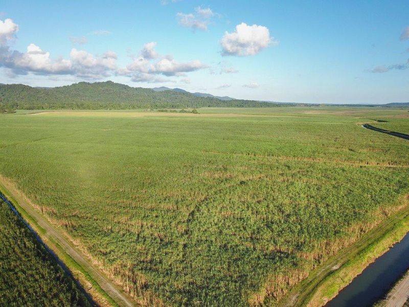 Cane Farms, Innisfail QLD 4860