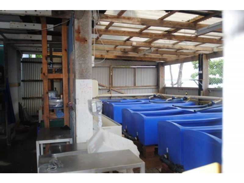 Lot 61 & 62 Douglas Street, Thursday Island QLD 4875