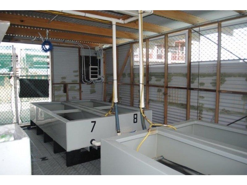 Lot 61 & 62 Douglas Street, Thursday Island QLD 4875