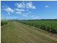 64000 Bruce Highway, Innisfail QLD 4860