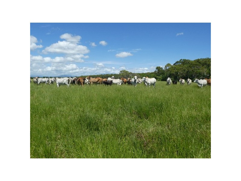 64000 Bruce Highway, Innisfail QLD 4860