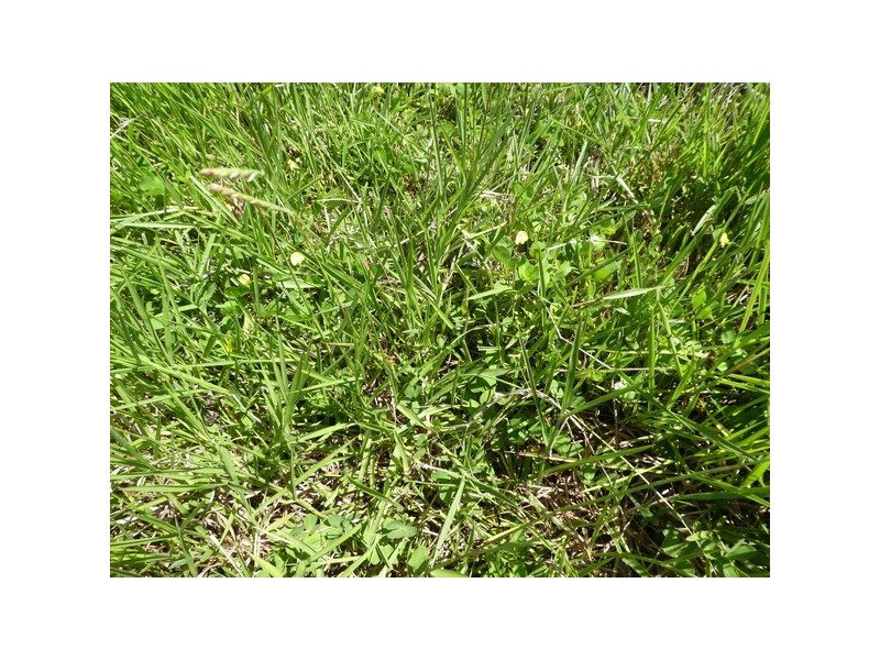 64000 Bruce Highway, Innisfail QLD 4860