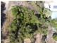 77 Helen Street, Cooktown QLD 4895