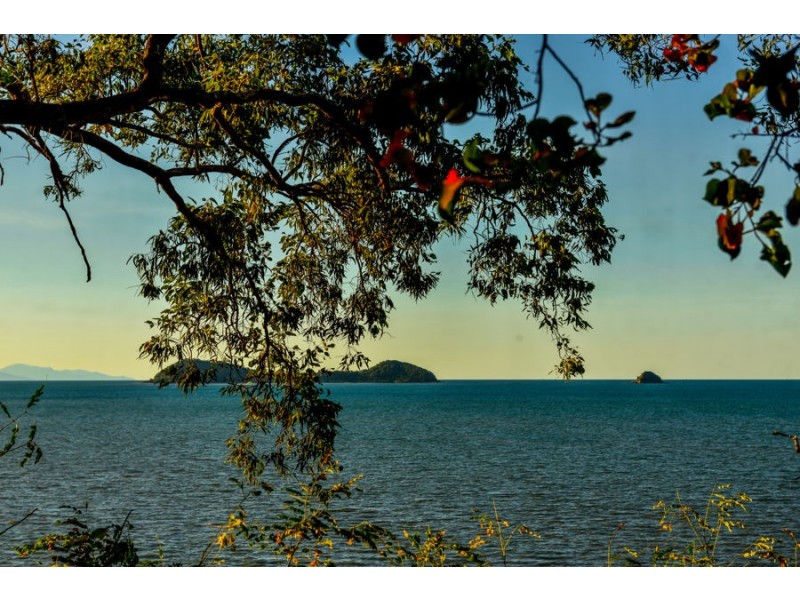 1 Taylor Point, Trinity Beach QLD 4879