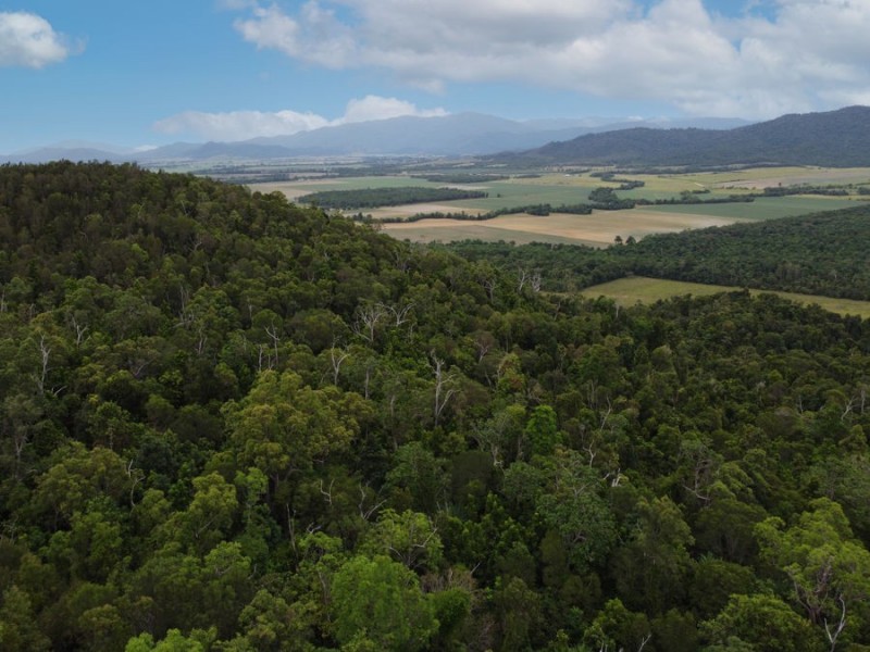 Lot 22 Bruce Highway, Cowley QLD 4871