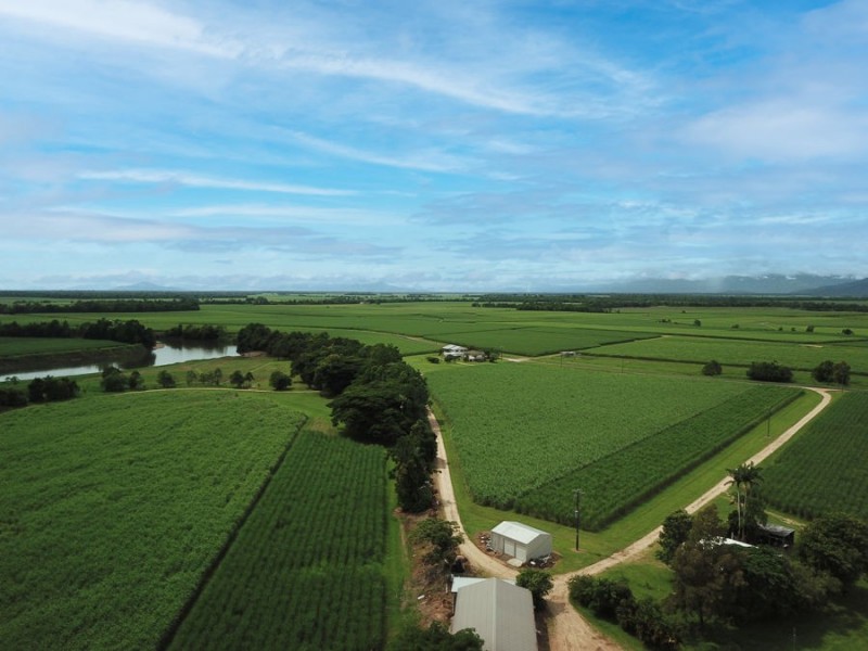 238 Davidson Road, Tully QLD 4854